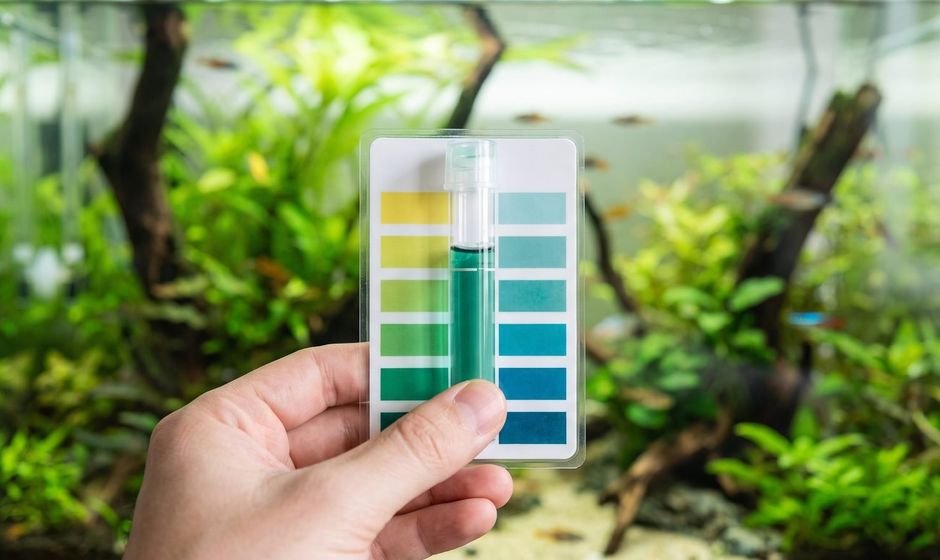 Hand holding an aquarium pH liquid test tube against a color chart in front of a planted tank