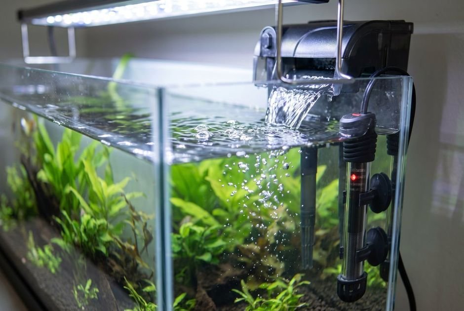 A hang-on-back filter and heater running on a freshly filled planted aquarium