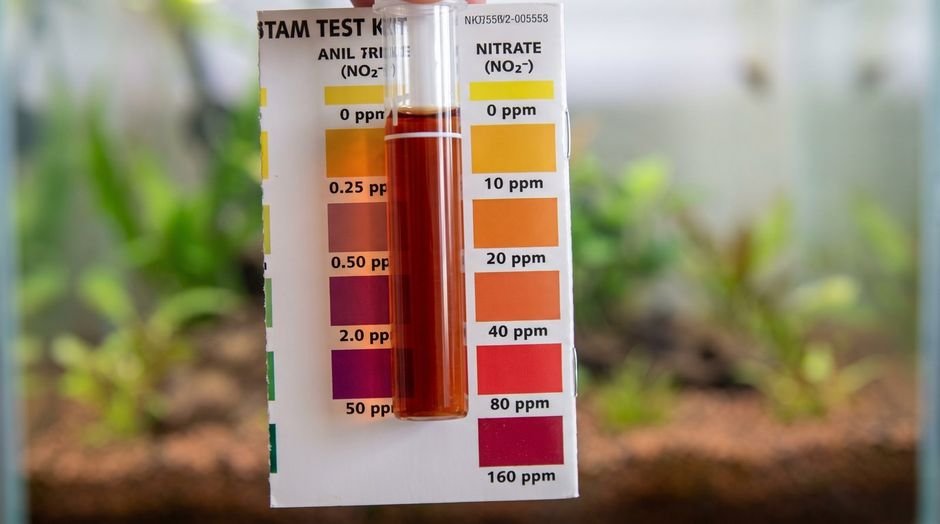 Nitrate test tube reading near 40 ppm