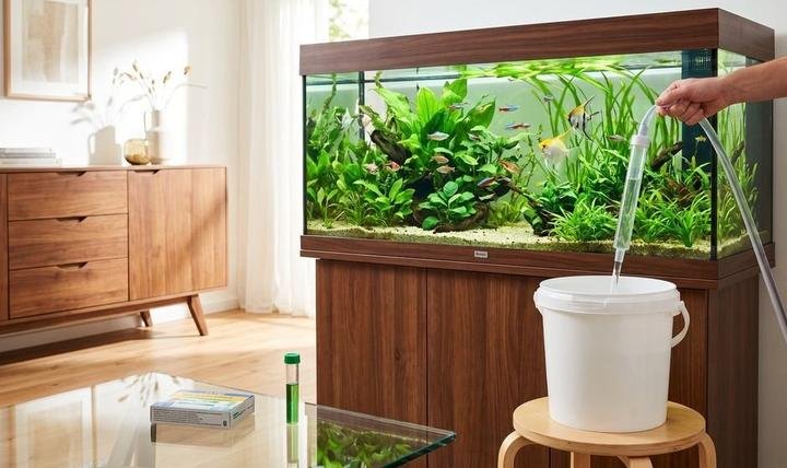 Emergency aquarium water change with a siphon and an ammonia test tube