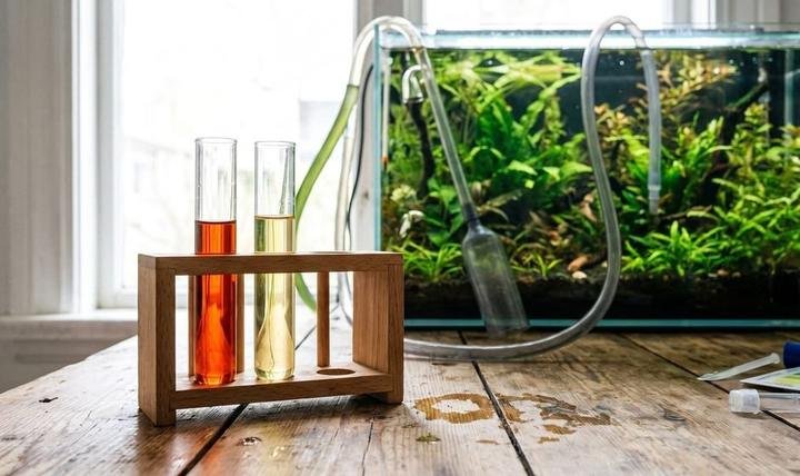 High and low nitrate test tubes in a rack in front of a planted aquarium