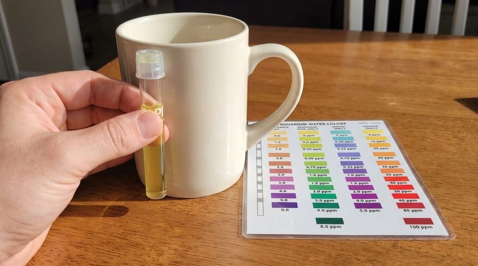 Test tube of pale yellow water held against a white ceramic mug to judge its color