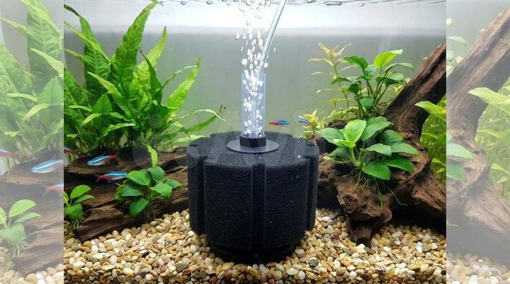 Aquarium sponge filter with air bubbles rising through the water
