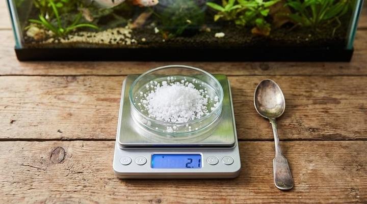 Digital gram scale weighing plain aquarium salt in a small glass dish